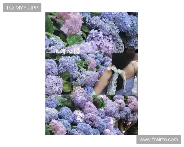 紫百合公园停摆众人悼念科米索 紫百合公园停摆众人悼念科米索